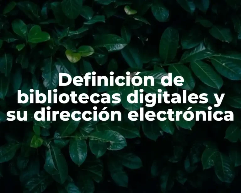 Definición de bibliotecas digitales y su dirección electrónica