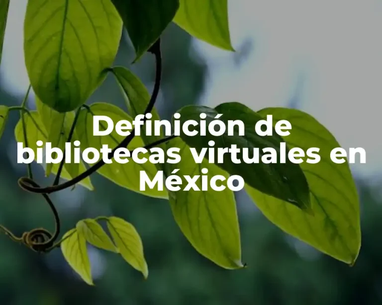 Definición de bibliotecas virtuales en México