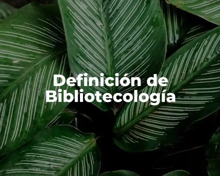 Definición de Bibliotecología