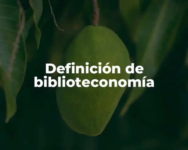 Definición de biblioteconomía