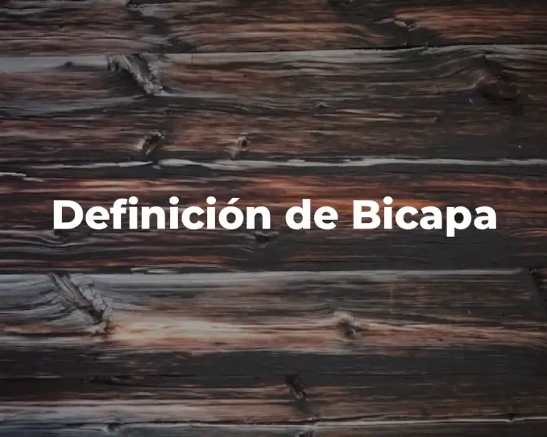 Definición de Bicapa