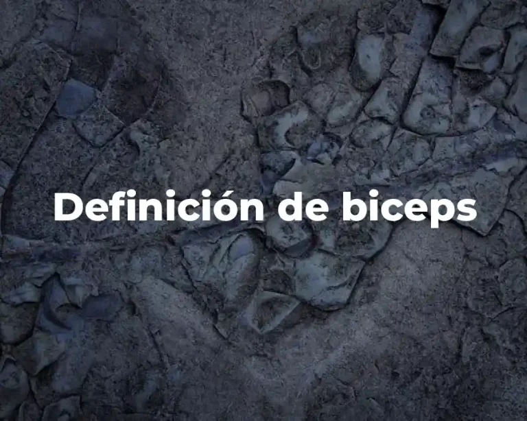 Definición de biceps