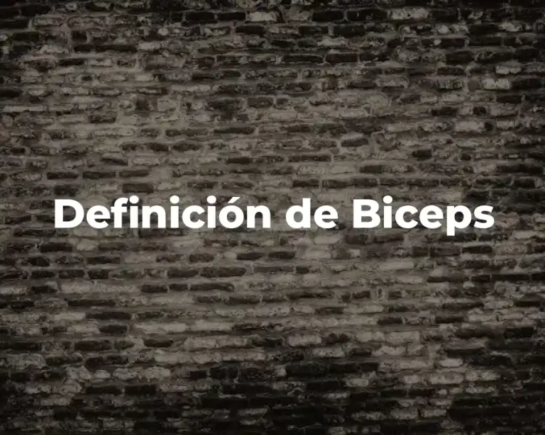 Definición de Biceps