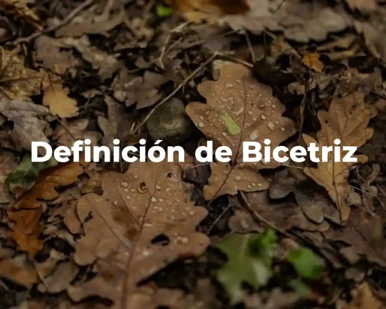 Definición de Bicetriz