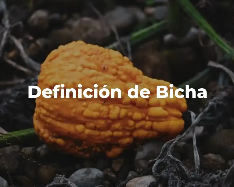 Definición de Bicha