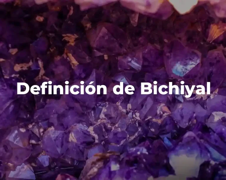Definición de Bichiyal