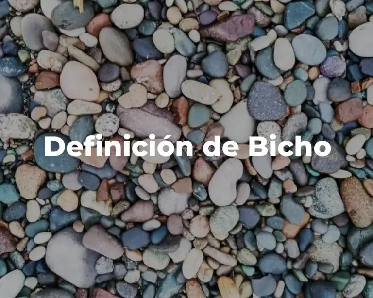 Definición de Bicho