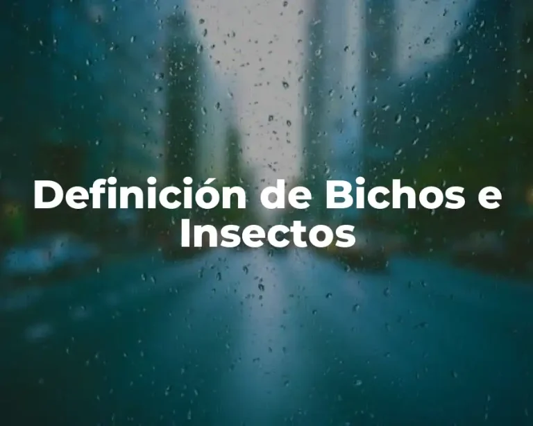 Definición de Bichos e Insectos