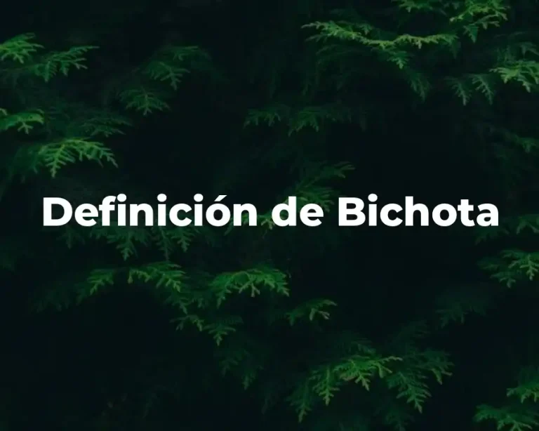 Definición de Bichota
