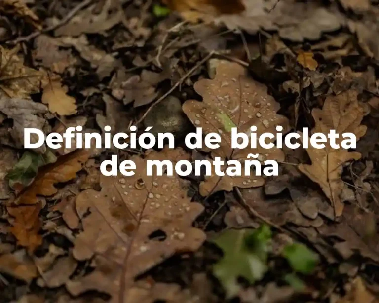 Definición de bicicleta de montaña