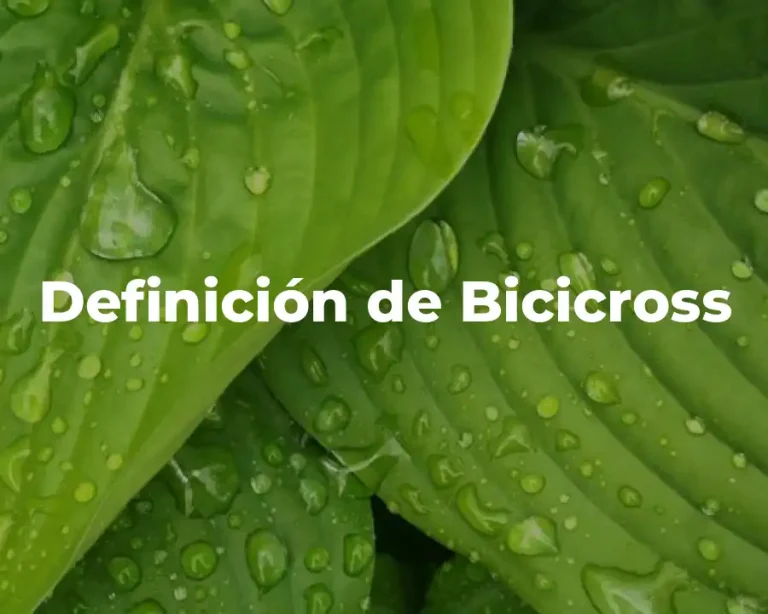 Definición de Bicicross