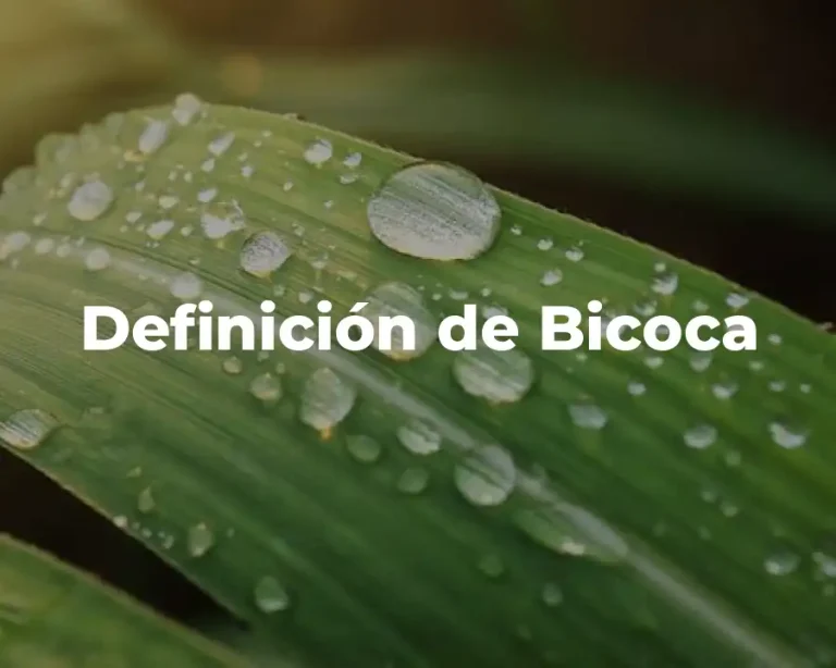 Definición de Bicoca