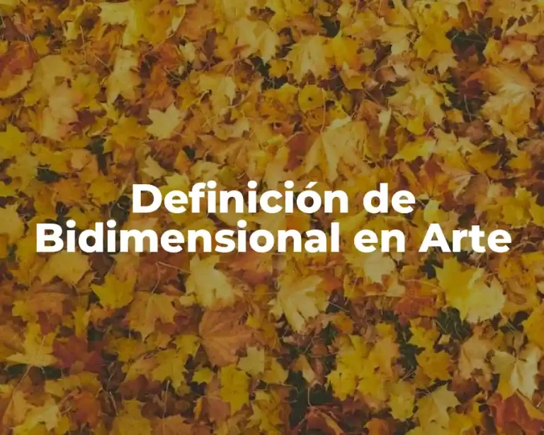 Definición de Bidimensional en Arte