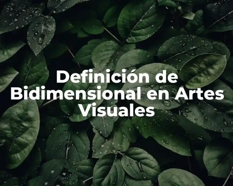 Definición de Bidimensional en Artes Visuales