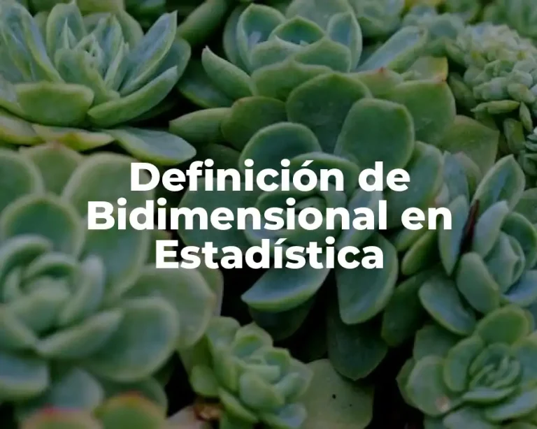 Definición de Bidimensional en Estadística
