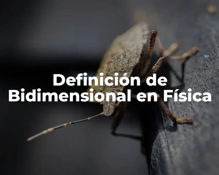 Definición de Bidimensional en Física