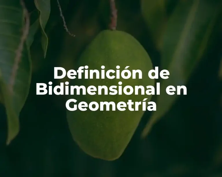 Definición de Bidimensional en Geometría