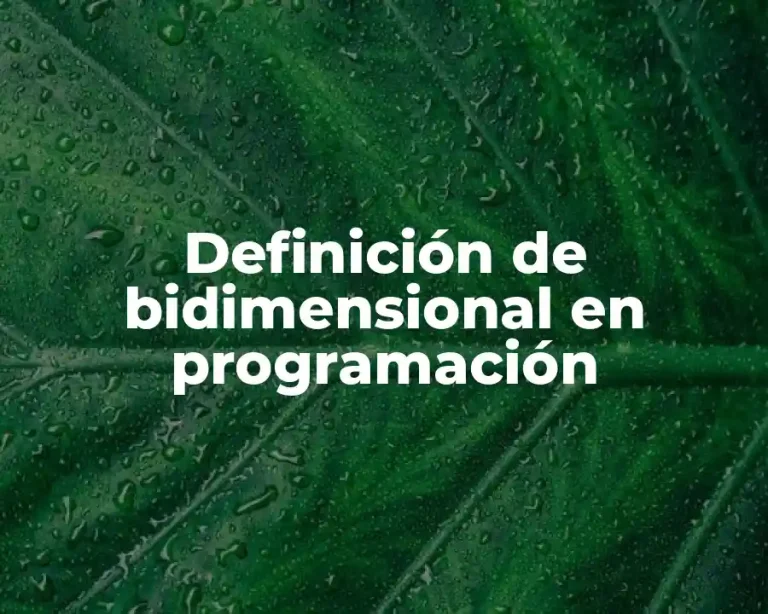Definición de bidimensional en programación