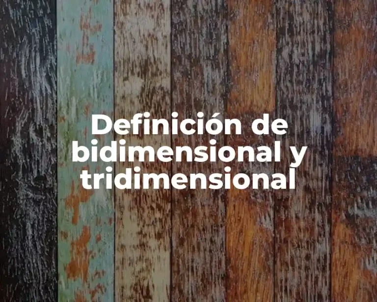 Definición de bidimensional y tridimensional