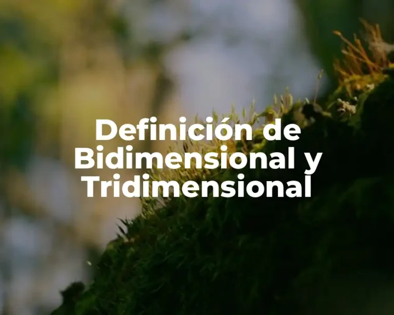 Definición de Bidimensional y Tridimensional