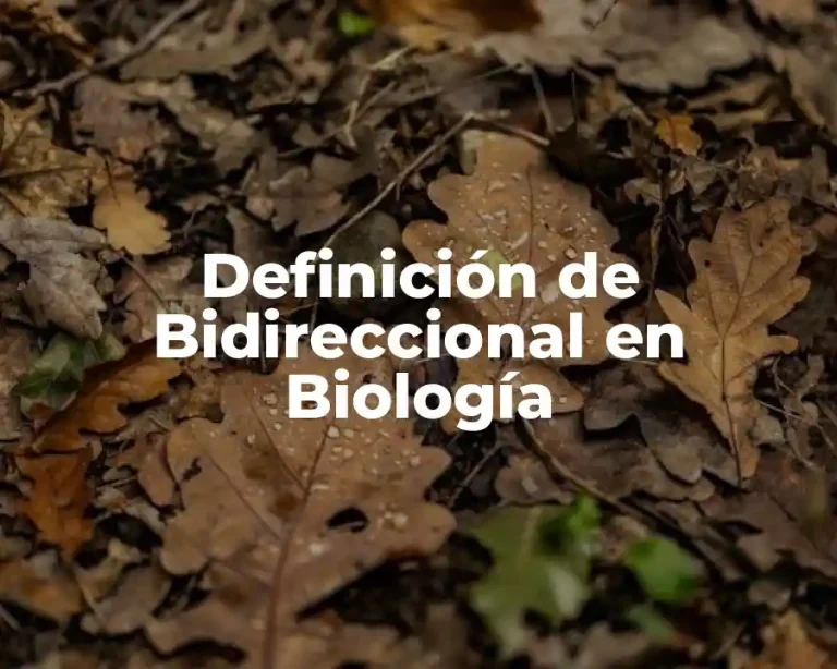 Definición de Bidireccional en Biología