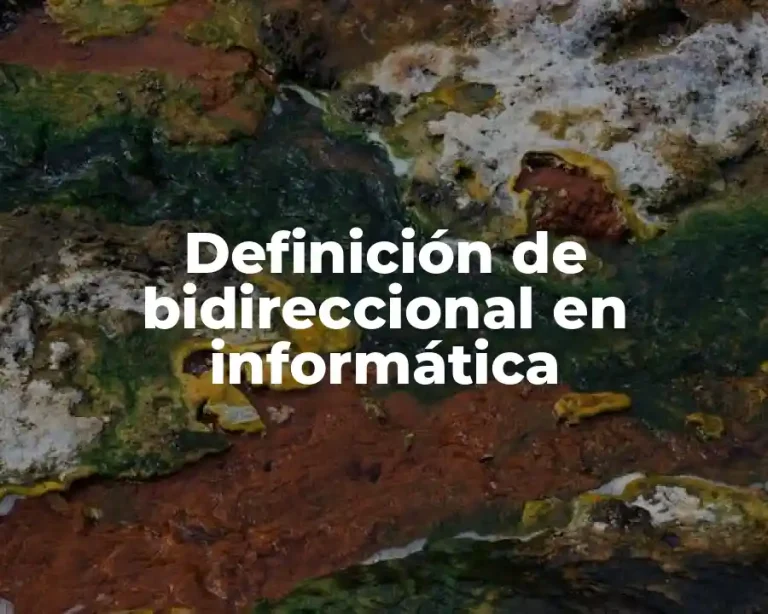 Definición de bidireccional en informática