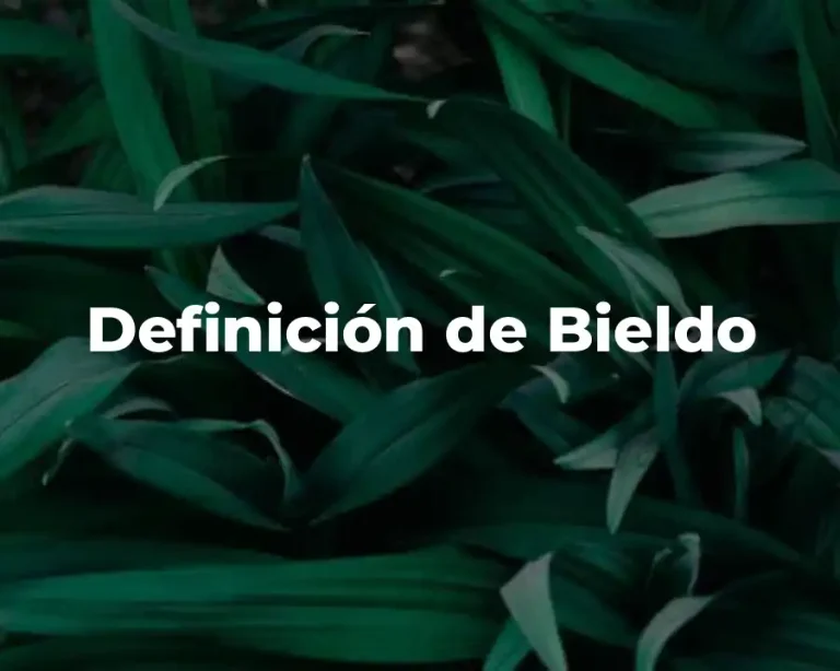 Definición de Bieldo