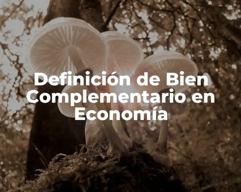 Definición de Bien Complementario en Economía