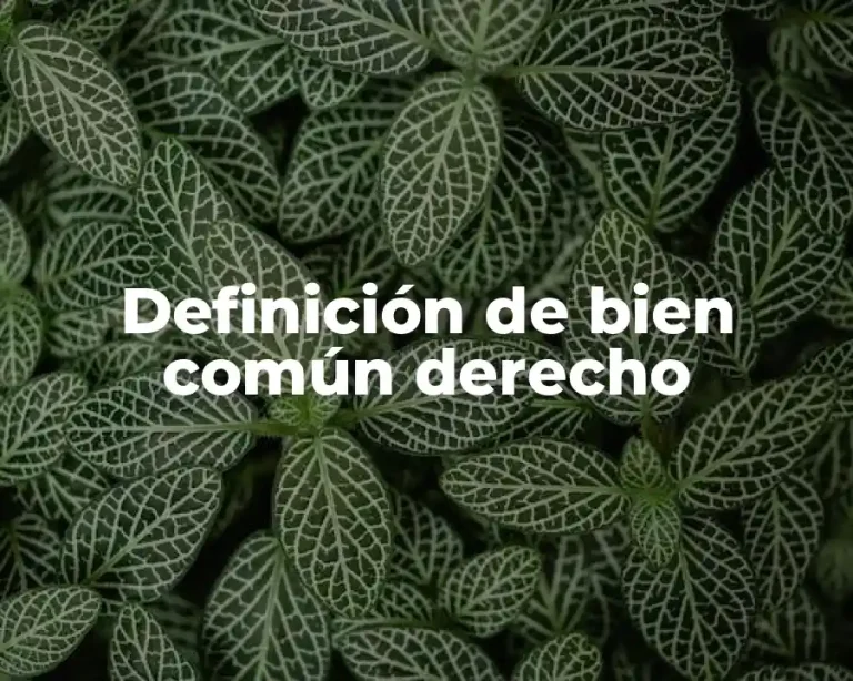 Definición de bien común derecho