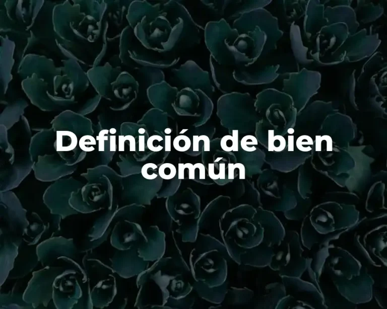 Definición de bien común