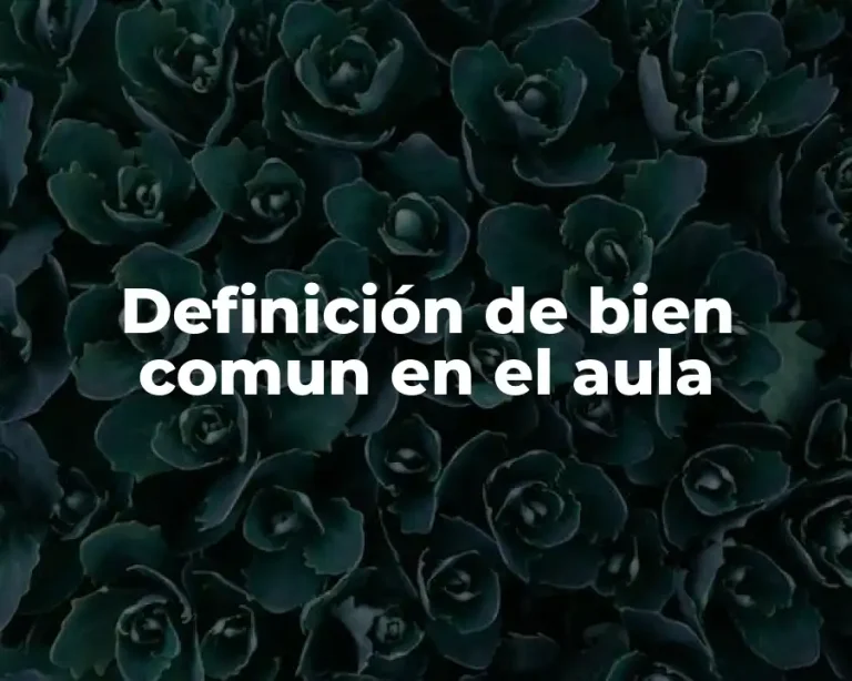 Definición de bien comun en el aula
