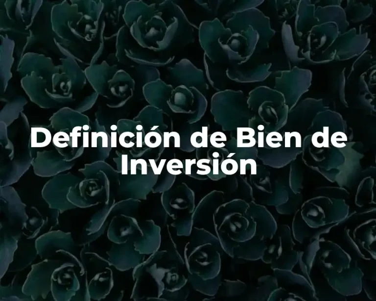 Definición de Bien de Inversión
