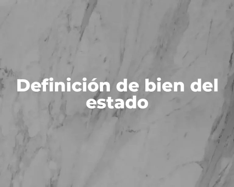 Definición de bien del estado
