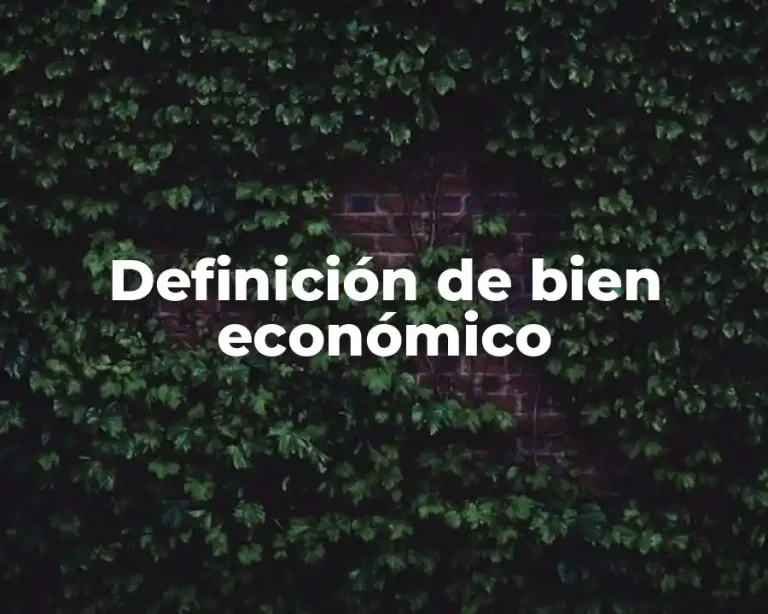 Definición de bien económico