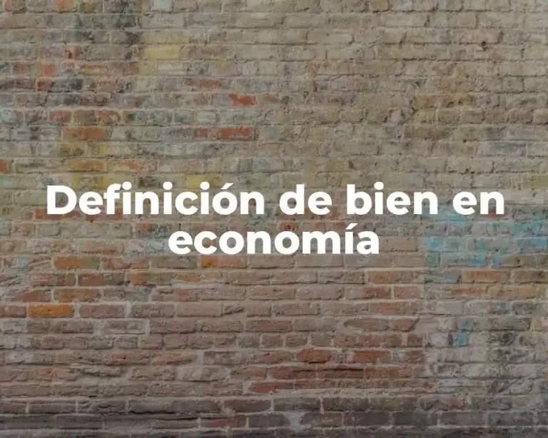 Definición de bien en economía