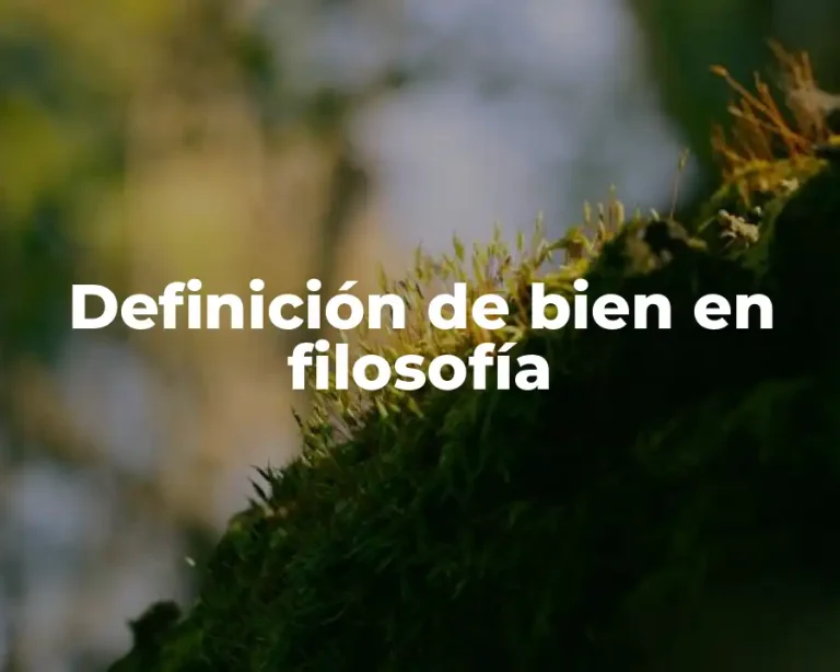 Definición de bien en filosofía