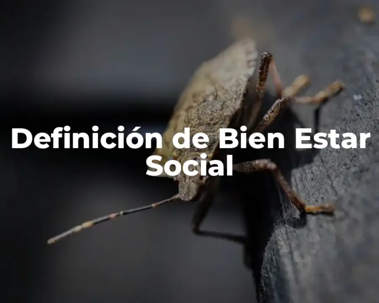 Definición de Bien Estar Social