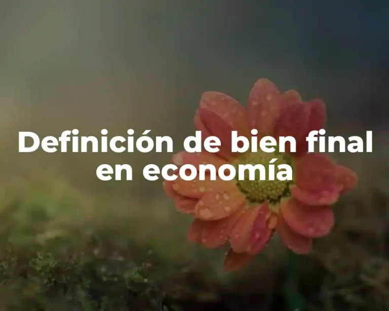 Definición de bien final en economía
