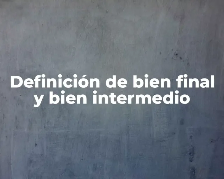 Definición de bien final y bien intermedio