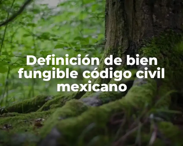 Definición de bien fungible código civil mexicano