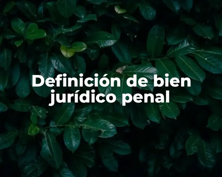 Definición de bien jurídico penal