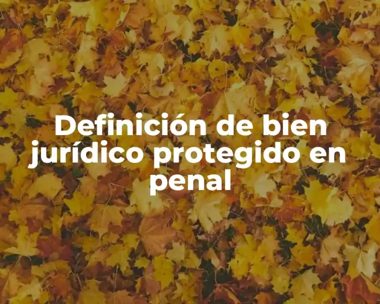 Definición de bien jurídico protegido en penal