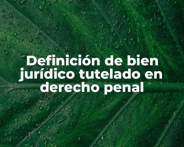 Definición de bien jurídico tutelado en derecho penal