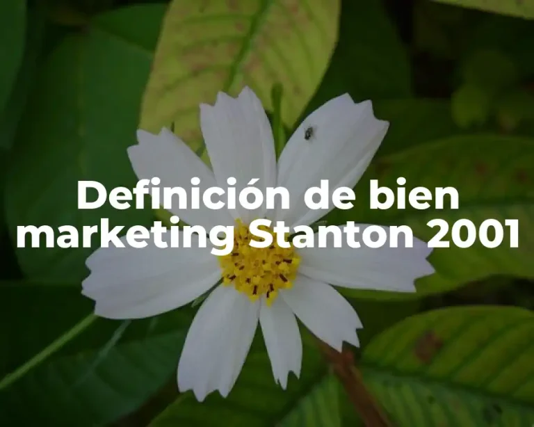 Definición de bien marketing Stanton 2001