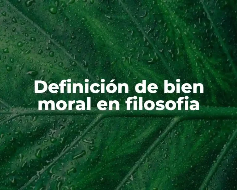 Definición de bien moral en filosofia