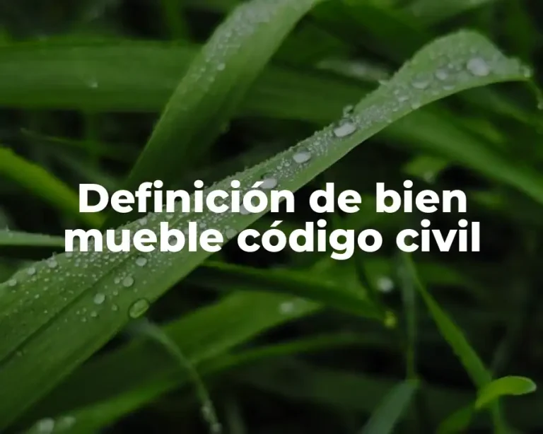 Definición de bien mueble código civil