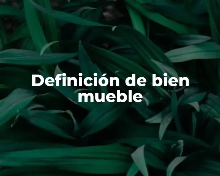 Definición de bien mueble