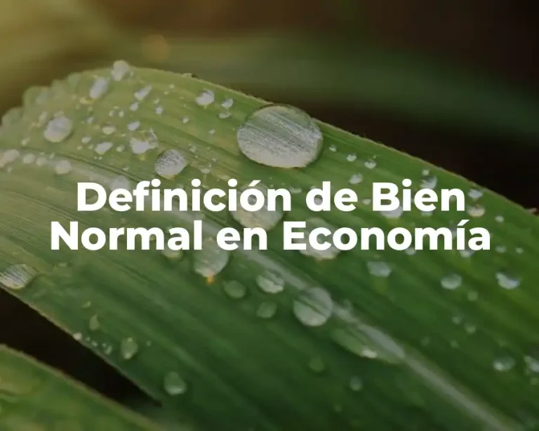 Definición de Bien Normal en Economía