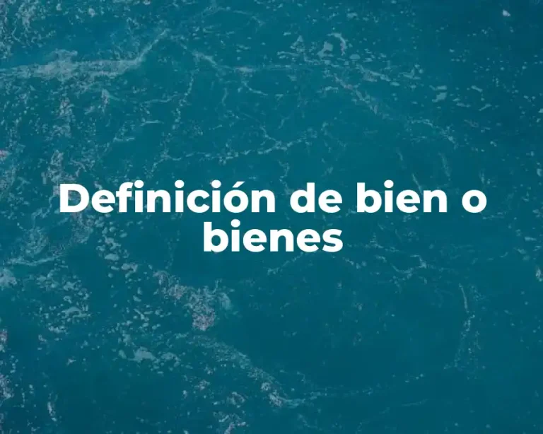 Definición de bien o bienes