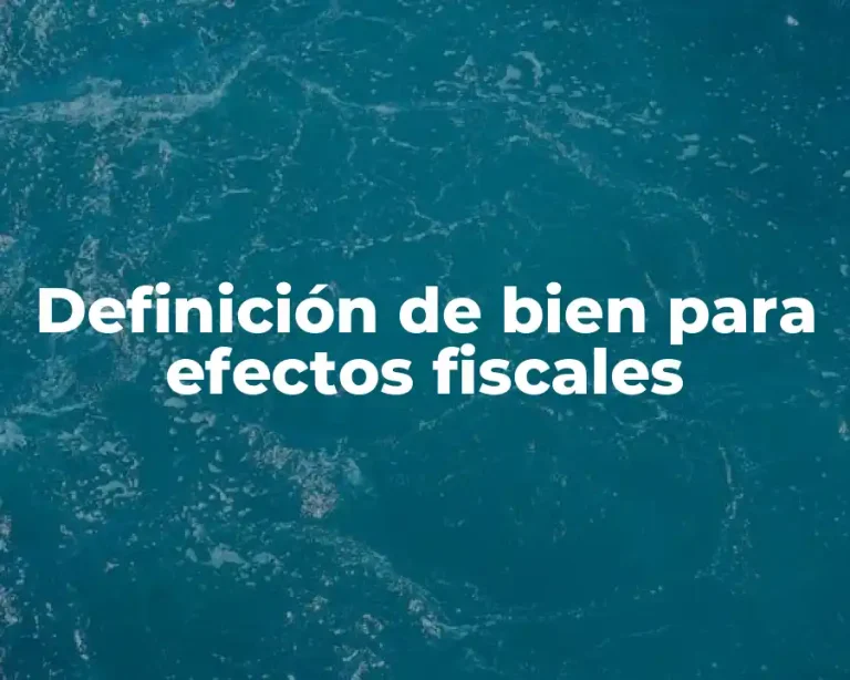 Definición de bien para efectos fiscales